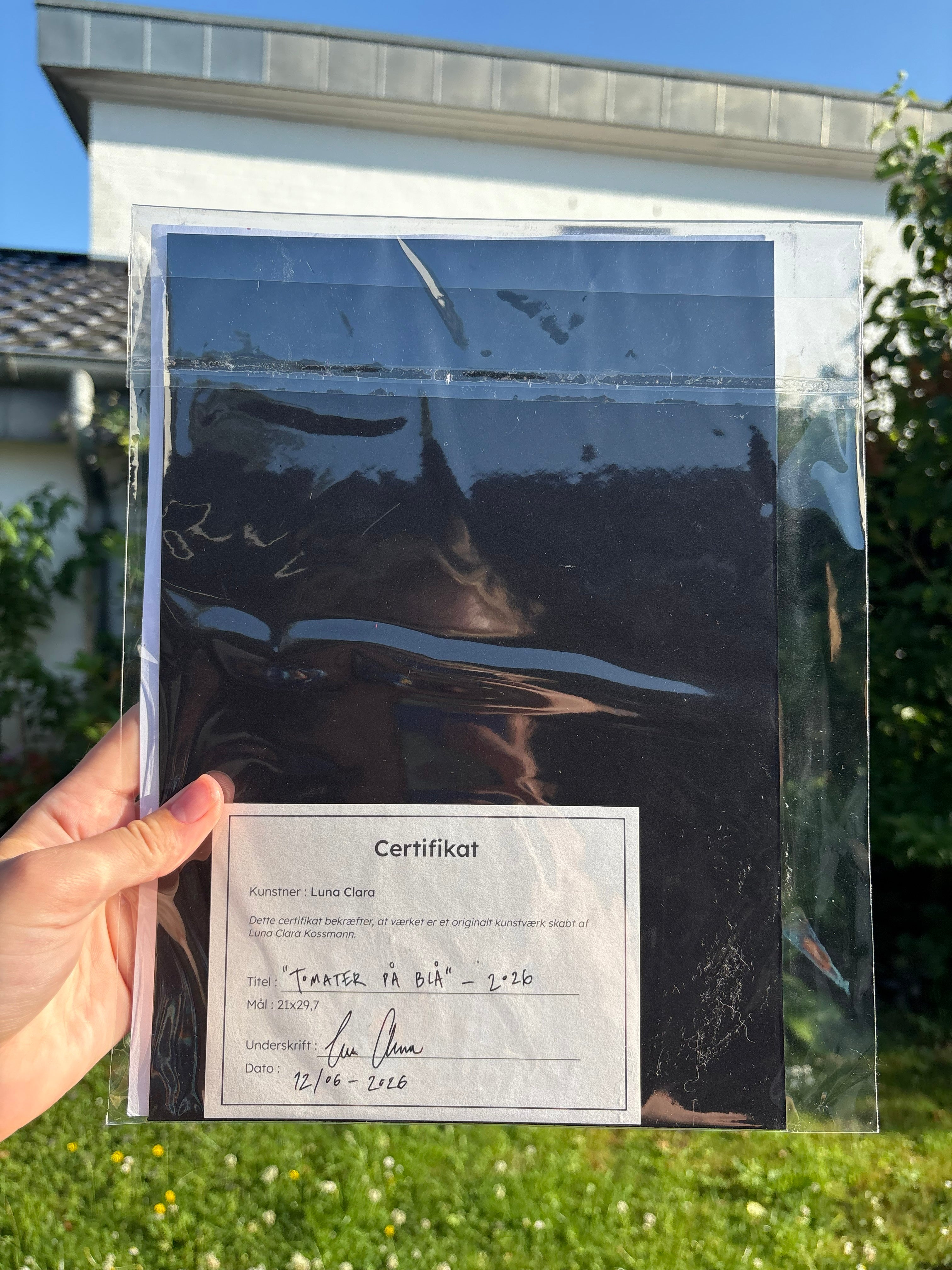 Originalt maleri på kvalitetspapir