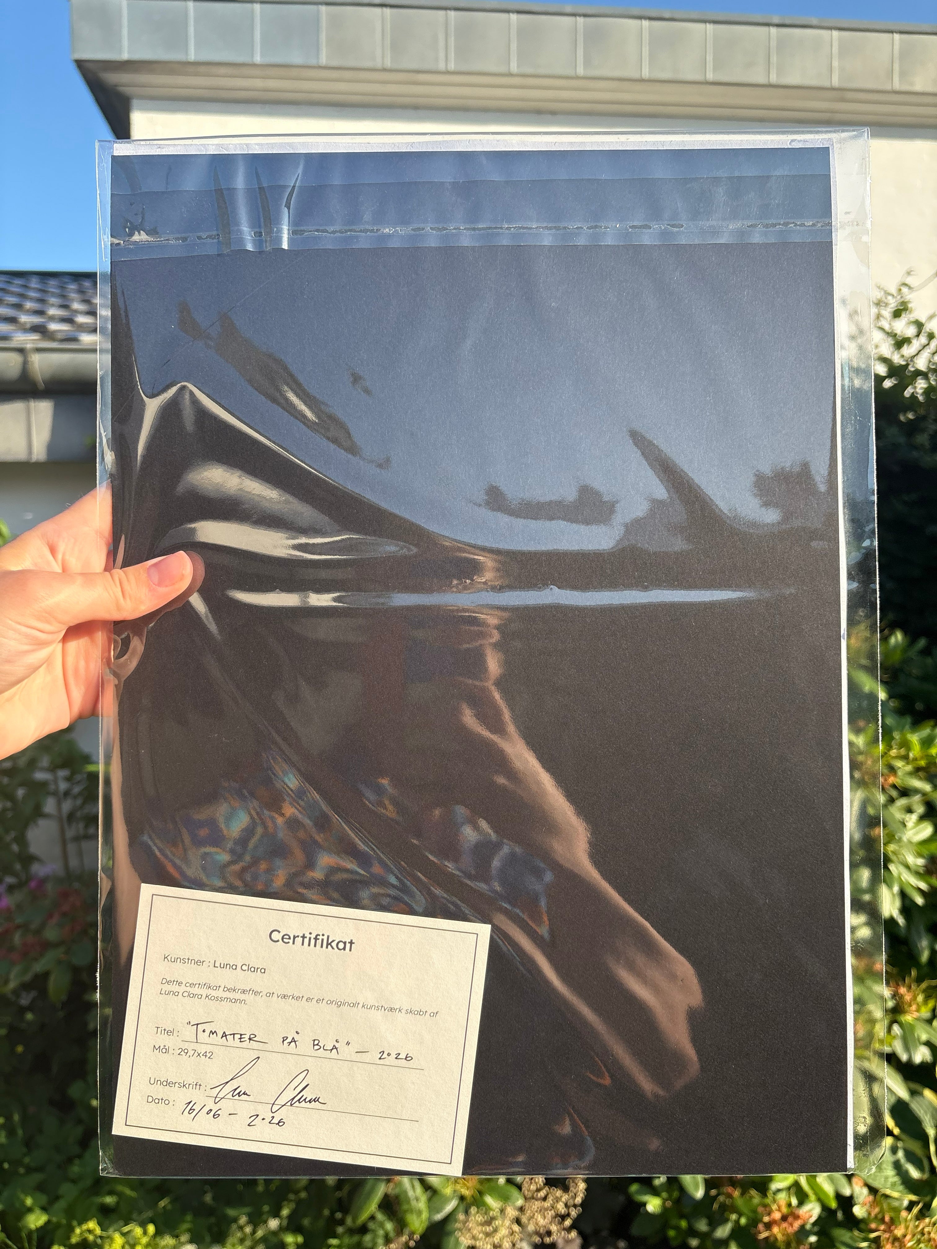 Originalt maleri på kvalitetspapir